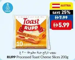 Viva RUPP Processed Toast Cheese Slices offer