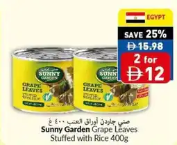 Viva Sunny Garden Grape Leaves Stuffed with Rice offer