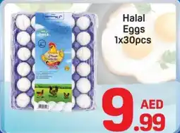 Day To Day Halal Eggs 1x30pcs offer