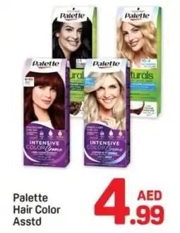 Day To Day Palette Hair Color offer