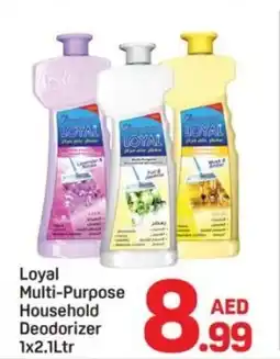Day To Day Loyal Multi-Purpose Household Deodorizer offer