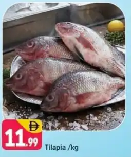 Shaklan Tilapia offer