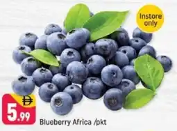 Shaklan Blueberry offer