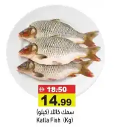 Aswaq Ramez Katla Fish offer