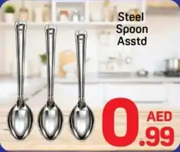 Day To Day Steel Spoon offer