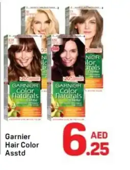 Day To Day Garnier Hair Color offer