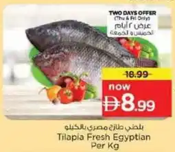 Nesto Tilapia Fresh Egyptian offer