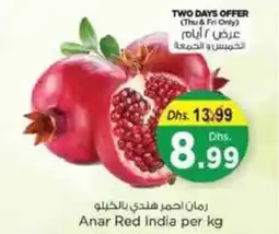 Nesto Anar Red India offer