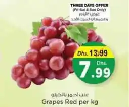 Nesto Grapes Red offer