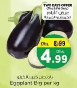 Nesto Eggplant Big offer