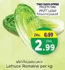 Nesto Lettuce Romaine offer