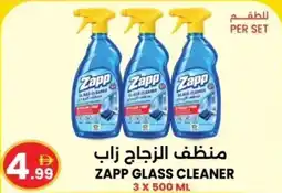 Ms Max Zapp glass cleaner offer