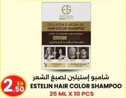 Ms Max Estelin hair color shampoo offer