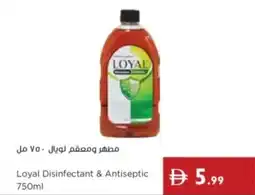 Istanbul Supermarket Loyal Disinfectant & Antiseptic offer