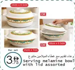 Wear Mart Serving melamine bowl! with lid offer