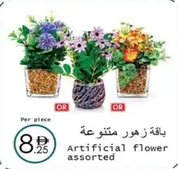 Wear Mart Artificial flower offer