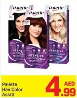 Day To Day Palette Hair Color offer