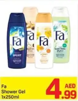 Day To Day Fa Shower Gel offer