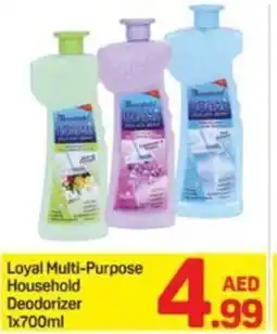 Day To Day Loyal Multi-Purpose Household Deodorizer offer
