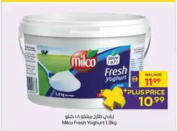 Abu Dhabi Coop Milco Fresh Yoghurt offer