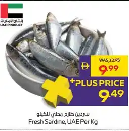 Abu Dhabi Coop Fresh Sardine, UAE offer