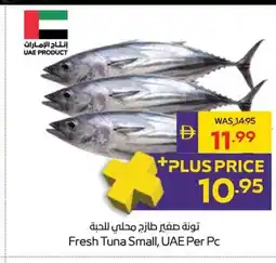 Abu Dhabi Coop Fresh Tuna Small, UAE offer
