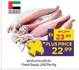 Abu Dhabi Coop Fresh Squid, UAE offer