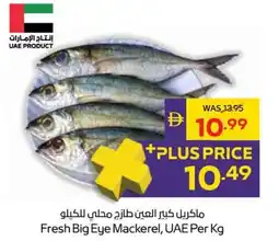 Abu Dhabi Coop Fresh Big Eye Mackerel, UAE offer