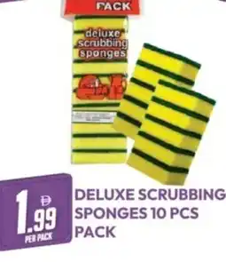Dream Land Center Deluxe scrubbing sponges offer