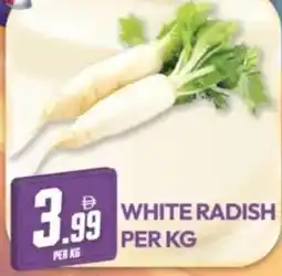 Dream Land Center White radish offer