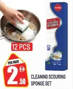 Dream Land Center Cleaning scouring sponge set offer