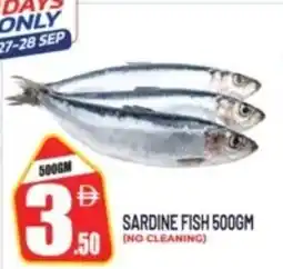 Dream Land Center Sardine fish offer