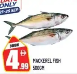 Dream Land Center Mackerel fish offer