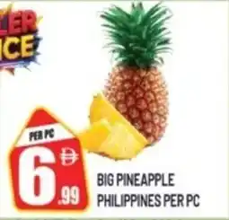Dream Land Center Big pineapple philippines offer