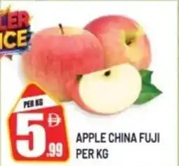 Dream Land Center Apple china fuji offer