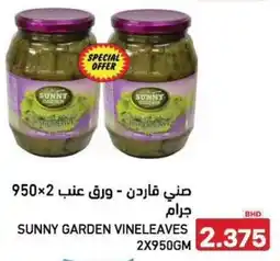 Aswaq Ramez Sunny garden vineleaves offer