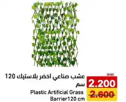 Aswaq Ramez Plastic Artificial Grass offer