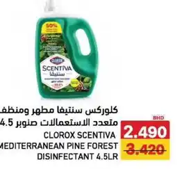 Aswaq Ramez Mediterranean pine forest disinfectant offer