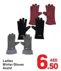Day To Day Ladies Winter Gloves offer
