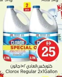 Nesto Clorox Regular offer