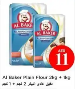 Nesto Al Baker Plain Flour offer