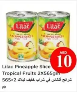Nesto Lilac Pineapple Slice Tropical Fruits offer