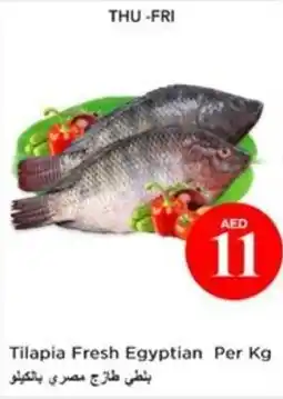 Nesto Tilapia Fresh offer
