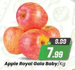 Sharaf DG Apple Royal Gala Baby offer