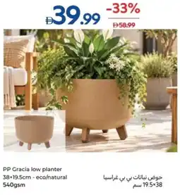 Carrefour PP Gracia low planter offer