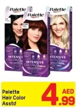 Day To Day Palette Hair Color offer