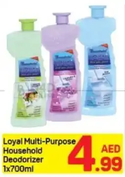Day To Day Loyal Multi-Purpose Household Deodorizer offer