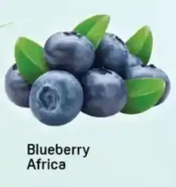Day To Day Blueberry Africa offer