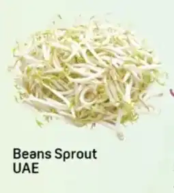 Day To Day Beans Sprout UAE offer