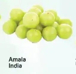 Day To Day Amala India offer